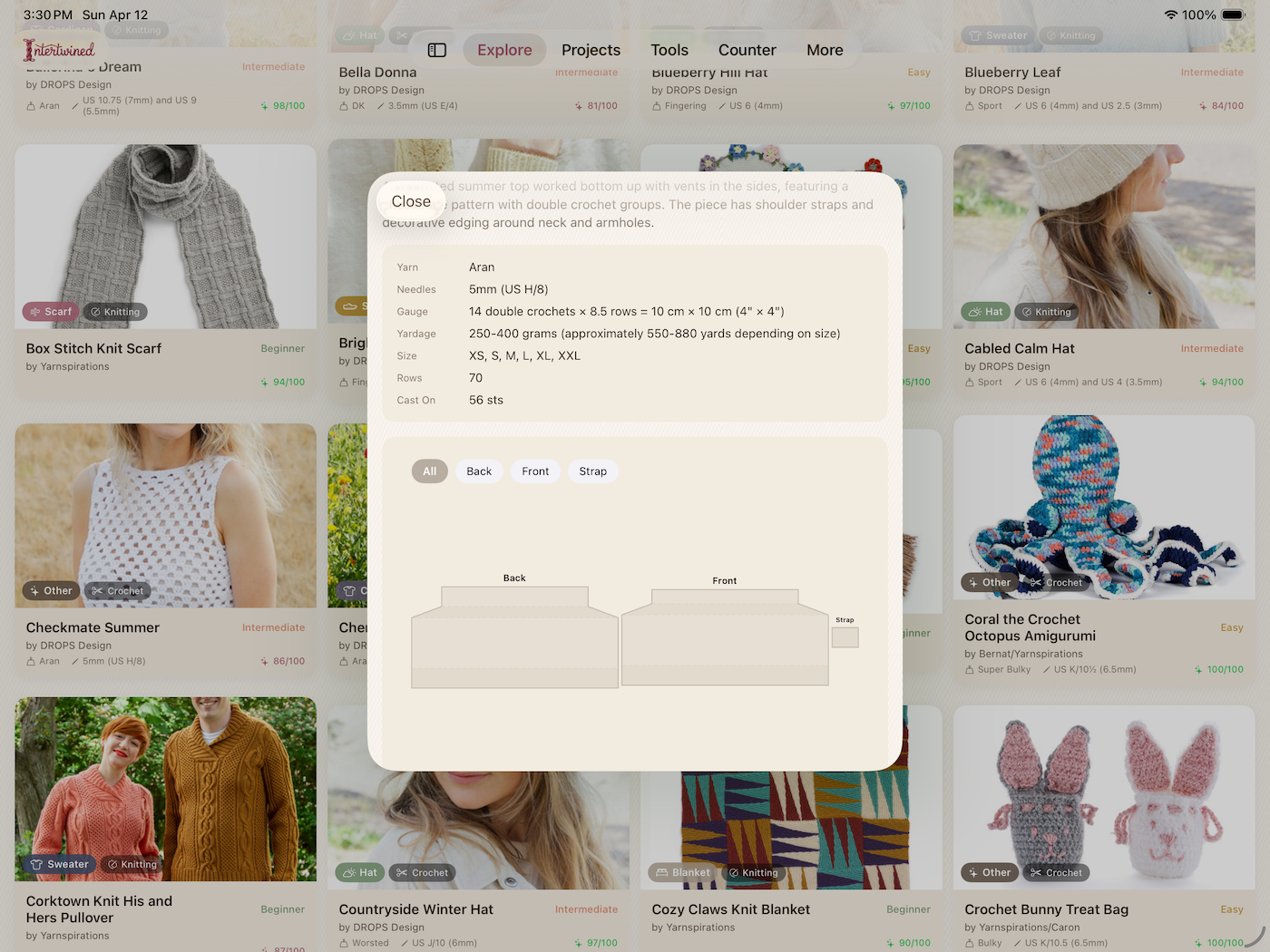 iPad pattern detail with schematic